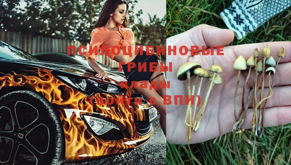 прущий лед Пролетарск