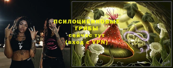 синтетический гашиш Протвино