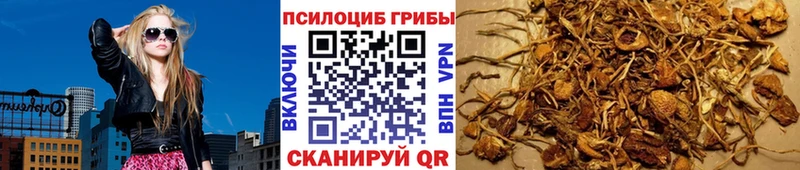 mega ССЫЛКА Юхнов Галлюциногенные грибы Psilocybe продажа наркотиков